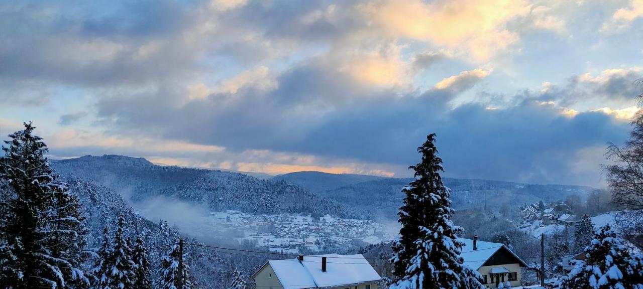 Au Chalet Bain Nordique Neuf Independant Calme Assure Haselbourg المظهر الخارجي الصورة